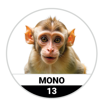 Animalitos del Oriente - Mascotas resultado del sorteo