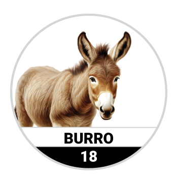 Animalitos del Oriente - Mascotas resultado del sorteo