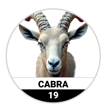 Animalitos del Oriente - Bichitos resultado del sorteo