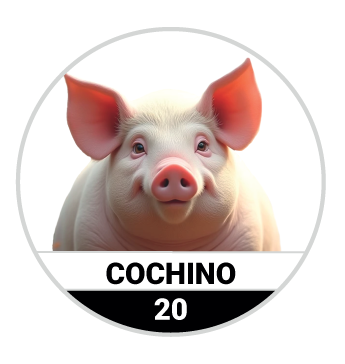 COCHINO