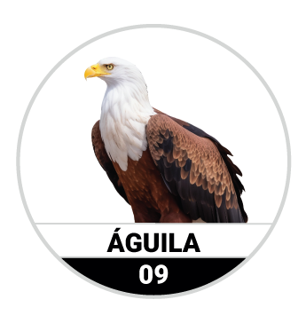 ÁGUILA
