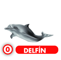 DELFÍN