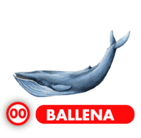 BALLENA