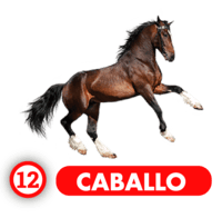 Chance Con Animalitos A resultado del sorteo