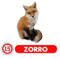 ZORRO
