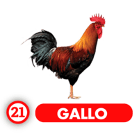 GALLO