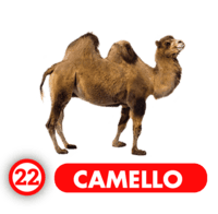 Chance Con Animalitos A resultado del sorteo