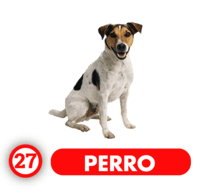 PERRO