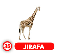 Chance Con Animalitos A resultado del sorteo