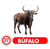 Chance Con Animalitos A resultado del sorteo