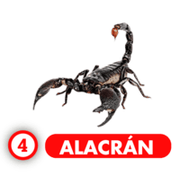 Chance Con Animalitos A resultado del sorteo