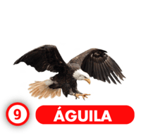 Chance Con Animalitos A resultado del sorteo