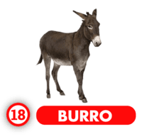 BURRO