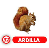 ARDILLA