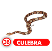 CULEBRA