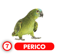 Chance Con Animalitos B resultado del sorteo