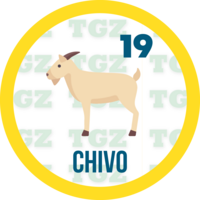 Gatazo resultado del sorteo