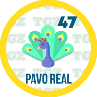 Pavo real