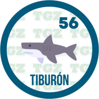 Tiburón