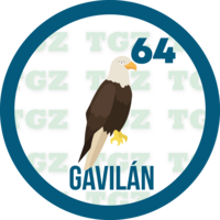 Gavilán