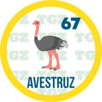 Gatazo resultado del sorteo