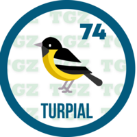 Turpial