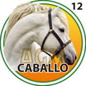 12 CABALLO