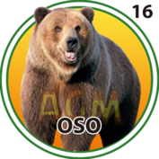 16 OSO