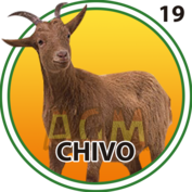 Granja Millonaria - Animalitos — 19 Chivo