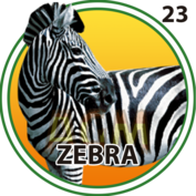 23 ZEBRA