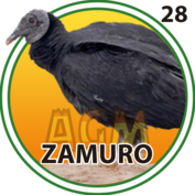 28 ZAMURO