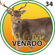 Granja Millonaria - Animalitos — 34 Venado