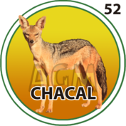 52 CHACAL