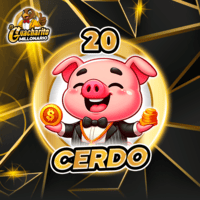 20 - CERDO