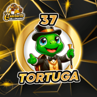 37 - TORTUGA