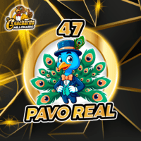 47 - PAVO REAL