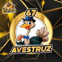67 - AVESTRUZ