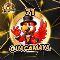 71 - GUACAMAYA