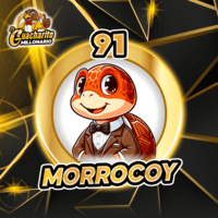 91 - MORROCOY