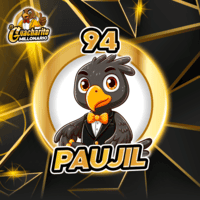 94 - PAUJIL