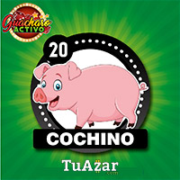 Guacharo Activo resultado del sorteo