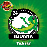 Guacharo Activo resultado del sorteo