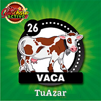 VACA