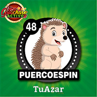 PUERCOESPÍN
