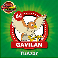 Guacharo Activo resultado del sorteo