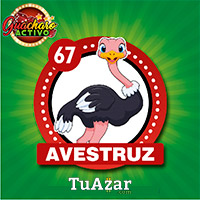 AVESTRUZ