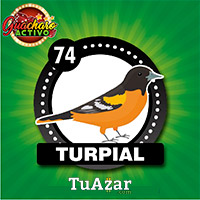TURPIAL