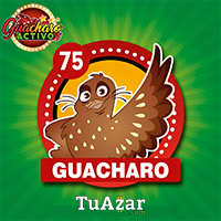 GUACHARO