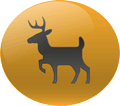 VENADO