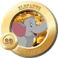 29 - ELEFANTE